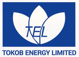 Tokob Energy logo